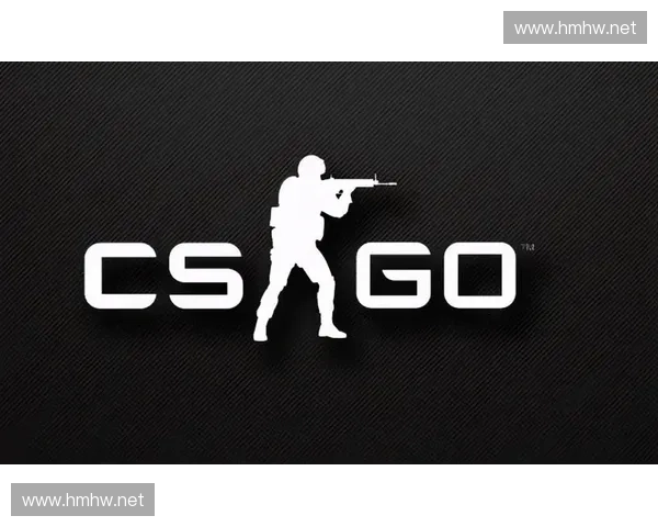 CSGO账号交易市场分析与风险防范指南，如何安全购买与出售游戏账号